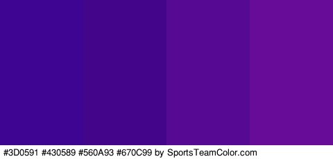 #3D0591 #430589 #560A93 #670C99 Colors