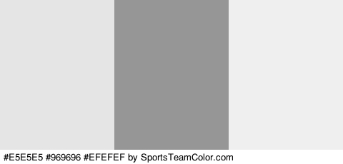 #E5E5E5 #969696 #EFEFEF Colors