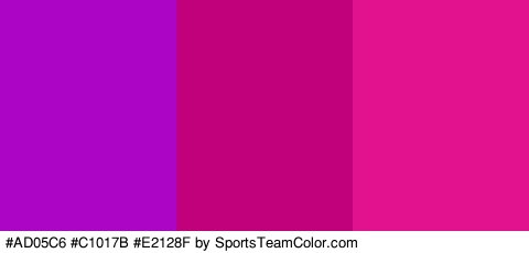 #AD05C6 #C1017B #E2128F Colors