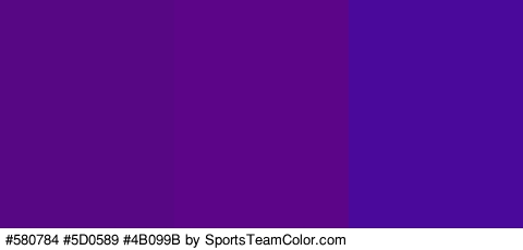 #580784 #5D0589 #4B099B Colors