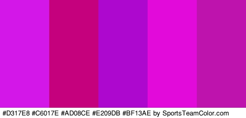 #D317E8 #C6017E #AD08CE #E209DB #BF13AE Colors