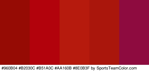 #960B04 #B2030C #B51A0C #AA160B #8E0B3F Colors