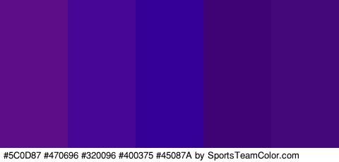 #5C0D87 #470696 #320096 #400375 #45087A Colors