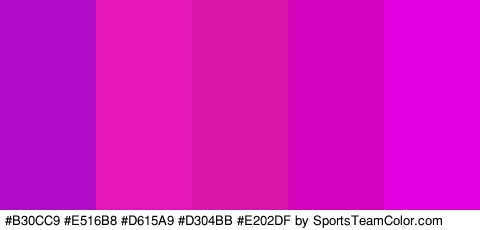 #B30CC9 #E516B8 #D615A9 #D304BB #E202DF Colors