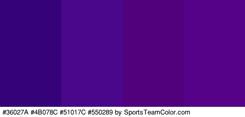 #36027A #4B078C #51017C #550289 Colors