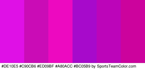 #DE10E5 #C90CB6 #ED09BF #A80ACC #BC05B9 #CC049D Colors