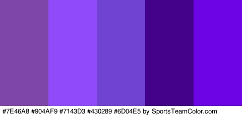 #7E46A8 #904AF9 #7143D3 #430289 #6D04E5 Colors