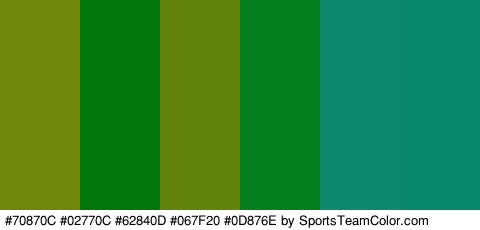 #70870C #02770C #62840D #067F20 #0D876E #08876B Colors