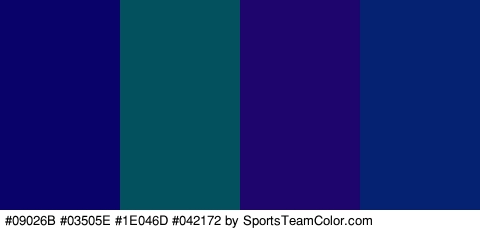 #09026B #03505E #1E046D #042172 Colors