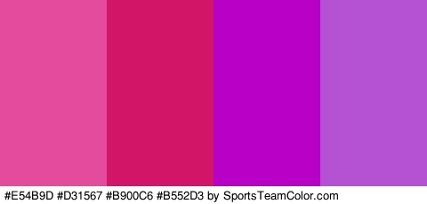 #E54B9D #D31567 #B900C6 #B552D3 Colors