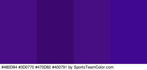 #480D84 #3D0770 #470D82 #400791 Colors