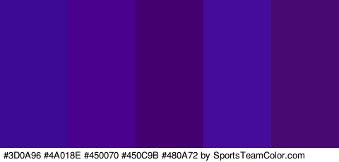 #3D0A96 #4A018E #450070 #450C9B #480A72 Colors