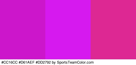 #CC16CC #D61AEF #DD2792 Colors