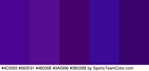 #4C0593 #560E91 #48026B #3A0996 #3B026B Colors