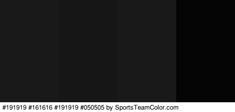 #191919 #161616 #191919 #050505 Colors