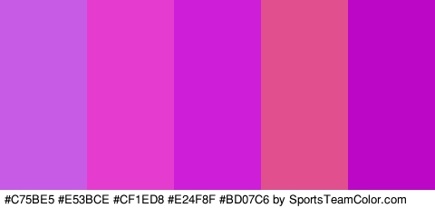 #C75BE5 #E53BCE #CF1ED8 #E24F8F #BD07C6 Colors