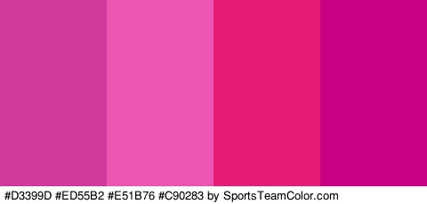 #D3399D #ED55B2 #E51B76 #C90283 Colors