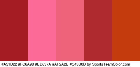 #A51D22 #FC6A98 #ED637A #AF2A2E #C43B0D Colors