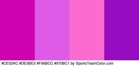 #CE02AC #DE5BE5 #F96BCC #970BC1 Colors