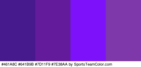 #461A8C #641B9B #7D11F9 #7E38AA Colors