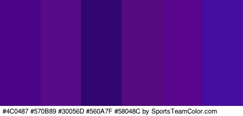 #4C0487 #570B89 #30056D #560A7F #58048C #460EA0 Colors