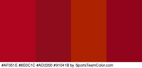 #AF051E #8E0C1C #AD2200 #91041B Colors