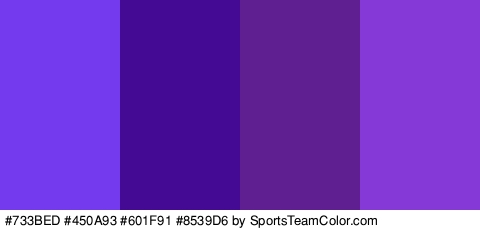 #733BED #450A93 #601F91 #8539D6 Colors