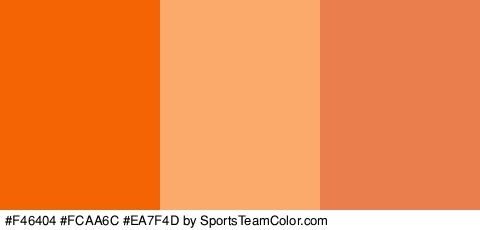 #F46404 #FCAA6C #EA7F4D Colors