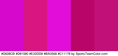 #D608CB #D81580 #E20DD8 #BA0568 #C11178 Colors