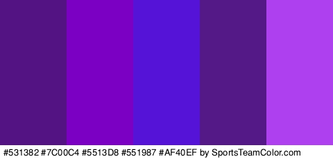 #531382 #7C00C4 #5513D8 #551987 #AF40EF Colors