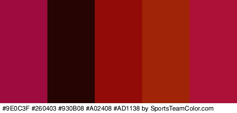 #9E0C3F #260403 #930B08 #A02408 #AD1138 Colors