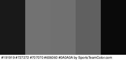 #191919 #727272 #707070 #606060 #0A0A0A Colors