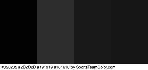 #020202 #2D2D2D #191919 #161616 Colors