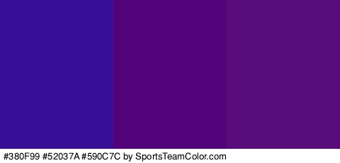 #380F99 #52037A #590C7C Colors