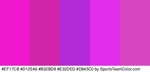 #EF17CB #D125A9 #B32BD8 #E32DED #D845C0 Colors