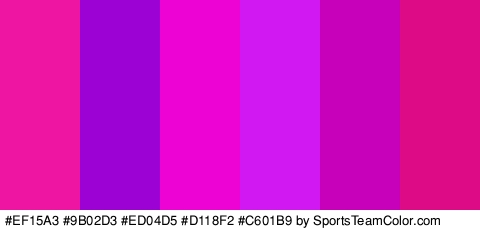 #EF15A3 #9B02D3 #ED04D5 #D118F2 #C601B9 #DD0B86 Colors