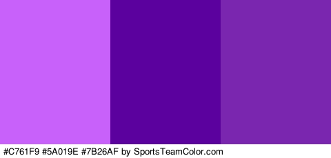 #C761F9 #5A019E #7B26AF Colors