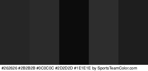 #262626 #2B2B2B #0C0C0C #2D2D2D #1E1E1E Colors