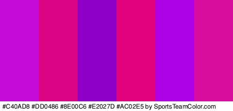 #C40AD8 #DD0486 #8E00C6 #E2027D #AC02E5 #D80D9F Colors