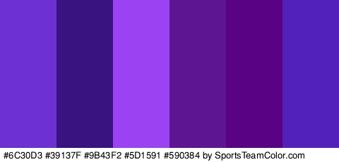 #6C30D3 #39137F #9B43F2 #5D1591 #590384 #5221BC Colors