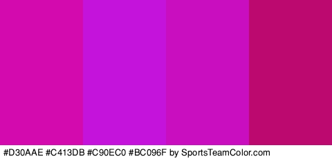 #D30AAE #C413DB #C90EC0 #BC096F Colors