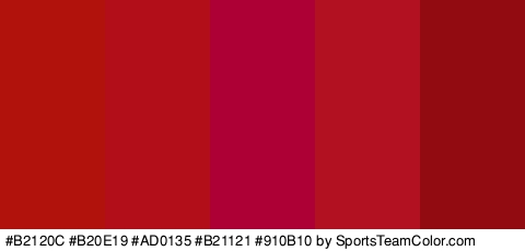 #B2120C #B20E19 #AD0135 #B21121 #910B10 Colors