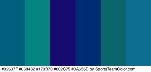 #02607F #068482 #170B70 #002C75 #0A656D #0E6E91 Colors