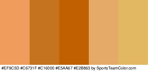 #EF9C5D #C6731F #C16000 #E5AA67 #E2B863 Colors