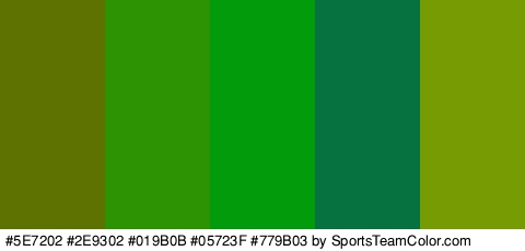 #5E7202 #2E9302 #019B0B #05723F #779B03 Colors