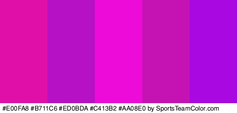 #E00FA8 #B711C6 #ED0BDA #C413B2 #AA08E0 Colors