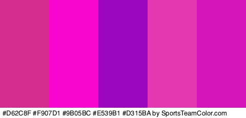 #D62C8F #F907D1 #9B05BC #E539B1 #D315BA Colors