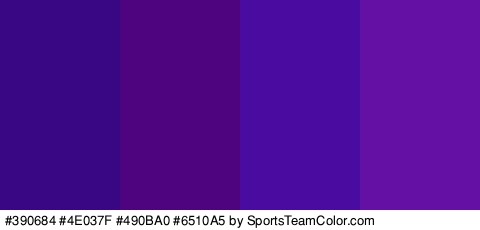 #390684 #4E037F #490BA0 #6510A5 Colors