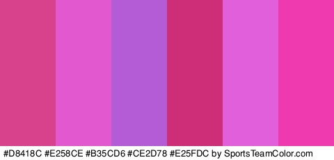 #D8418C #E258CE #B35CD6 #CE2D78 #E25FDC #EF39AF Colors