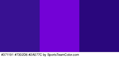 #371191 #7302D6 #2A077C Colors